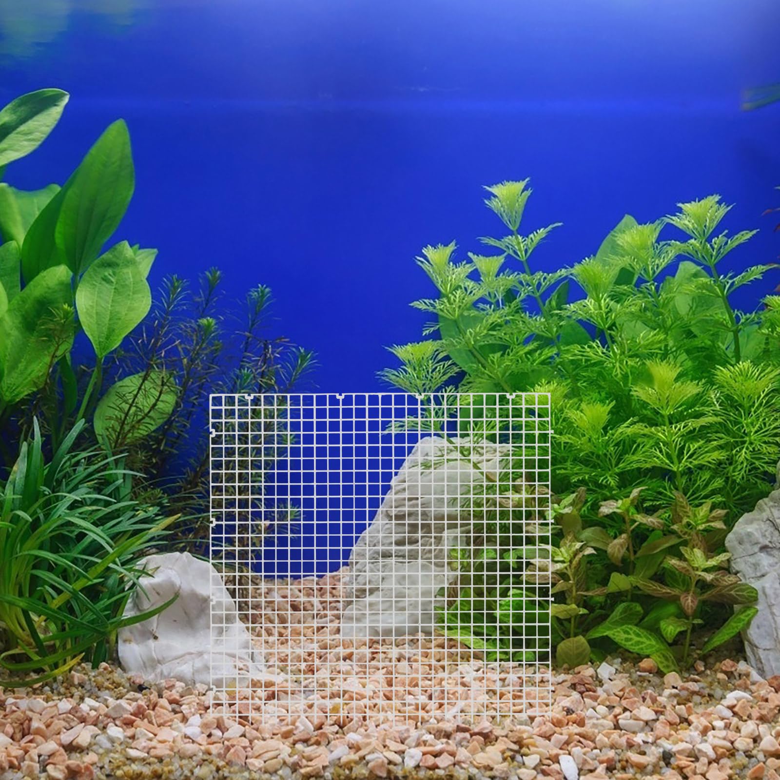 Aquarium Bodenfilterplatte Trennwand 8 Stück Weiß Kunststoff