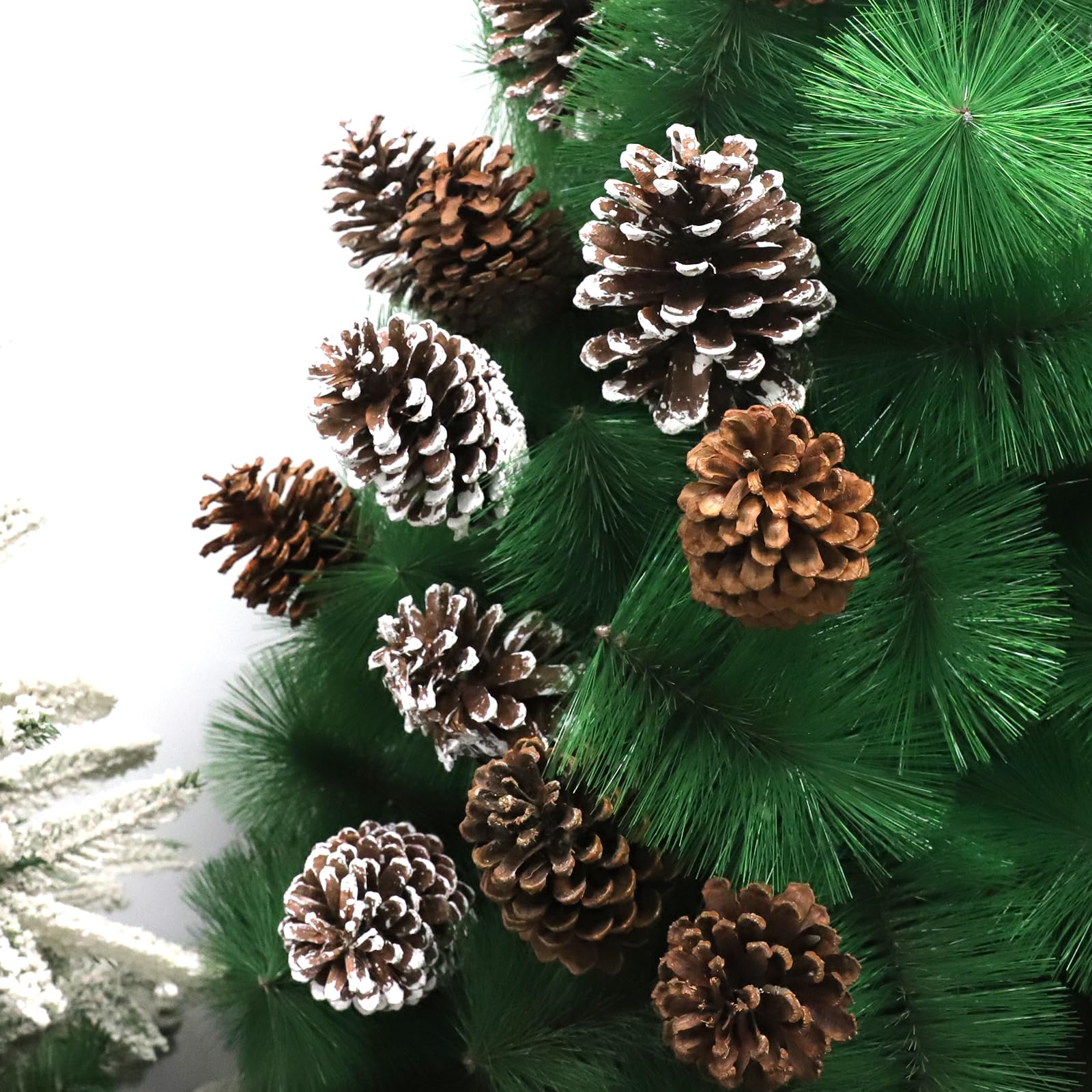 Fangoo 12 Pièces 8-12cm Grande Pommes de Pin Naturelles Decorative Pommes de Noël Couronne de Pommes de Pin Artisanat DIY pour la Décoration de Thanksgiving et de Noël (Blanc Naturel)