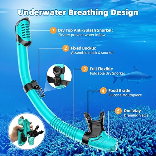 Miniatura 5 de Juego de esnórquel para adultos, equipo de esnórquel antifugas y antivaho con lente de vidrio templado, vista panorámica, máscara de natación, kit