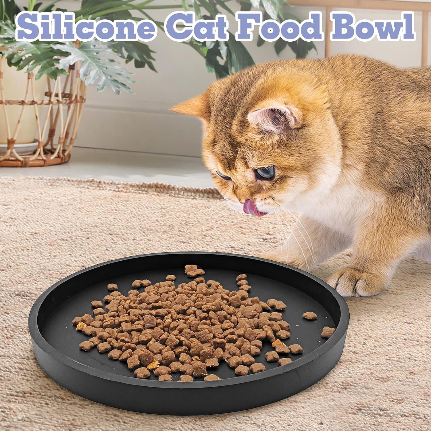 BNOSDM Black Small Cat Feeding Pan and Stainless Steel Litter Pan for Small Animals