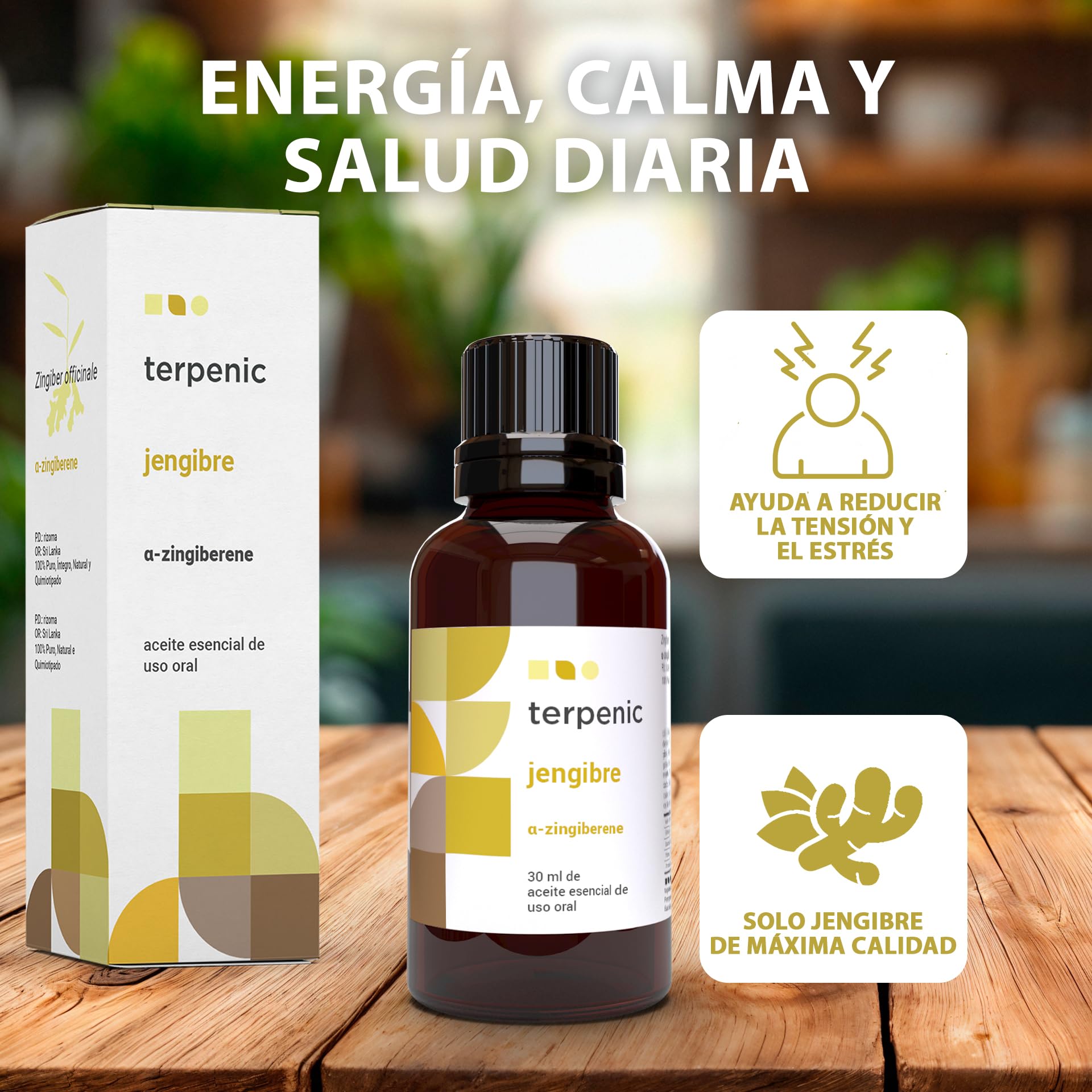 TERPENIC – Aceite Esencial de Jengibre (Zingiber officinale) – 30 ml – Uso Oral – Vitalidad y bienestar digestivo