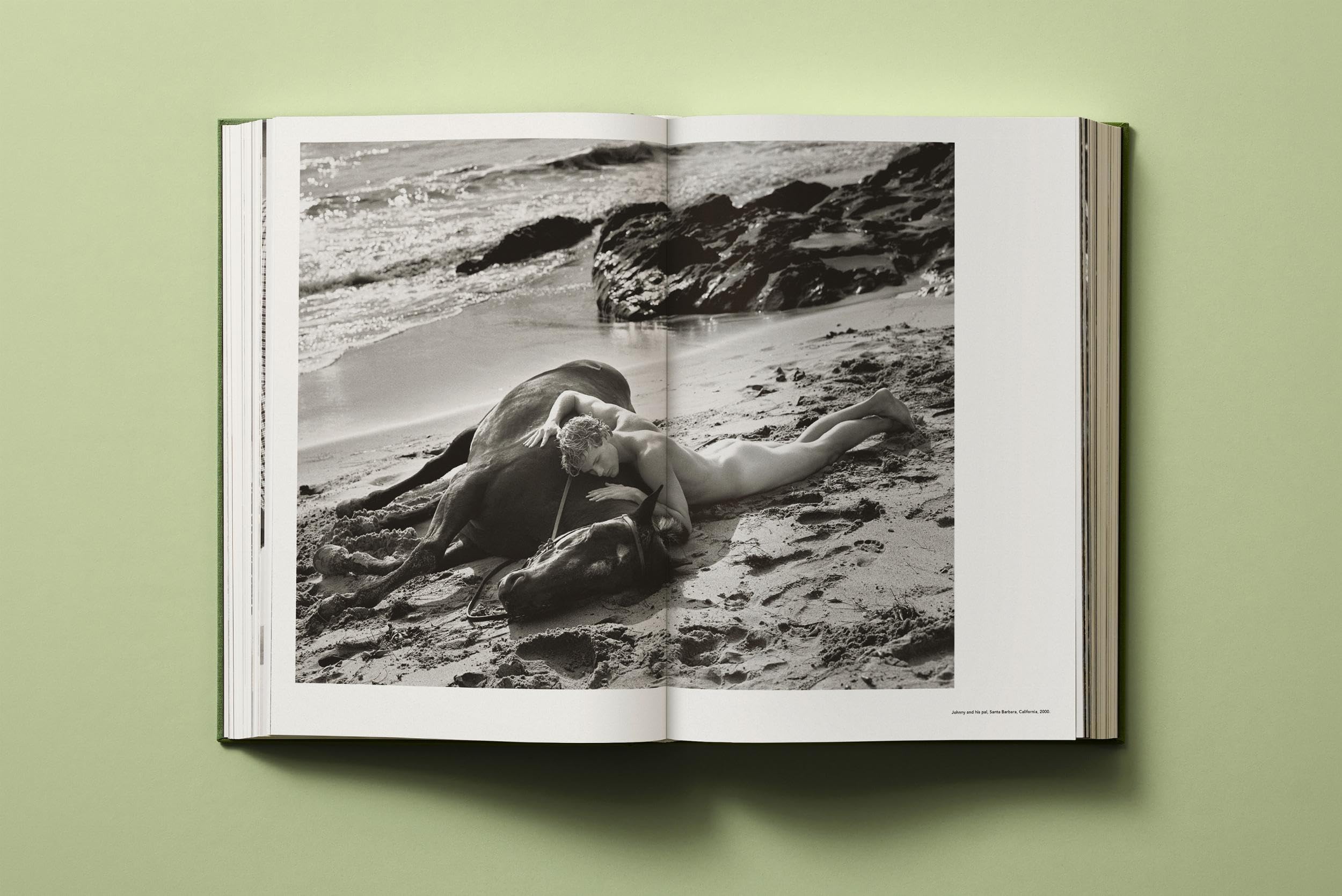 Bruce Weber. My Education (Extra Large)