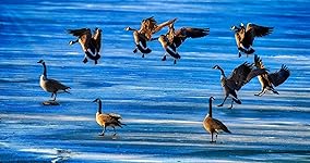 Review Image by Edwin H.