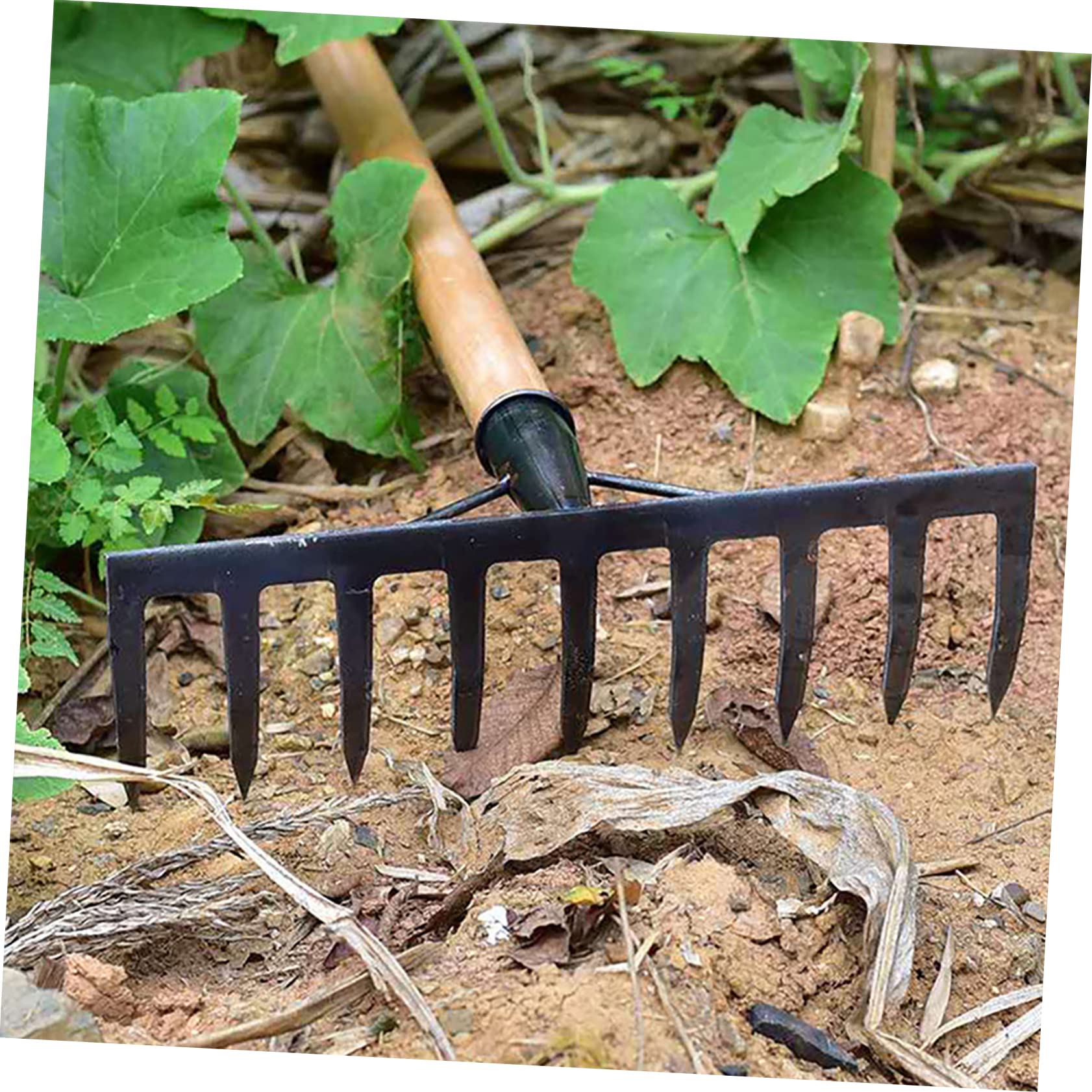 ibasenice Rastrello per Chiodi Agricolo e Rastrello per Prato, Testa 11 Denti Robusti in Ferro, per Giardinaggio e Agricoltura, per Allentare Terreno, Raccogliere Foglie e Lavorare Orto