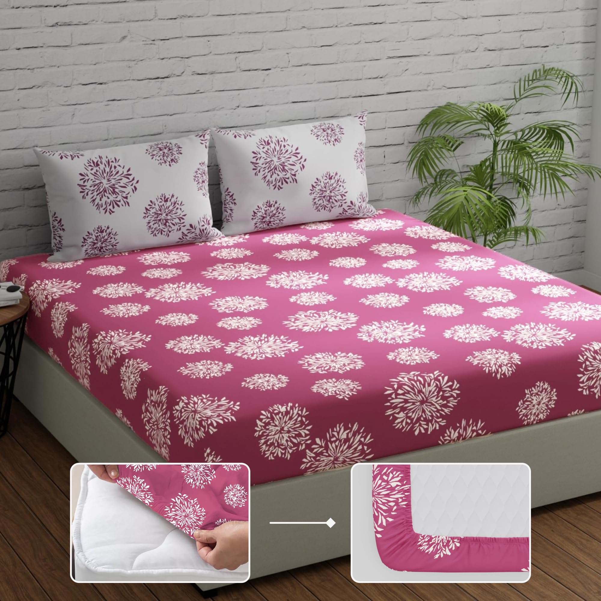 Huesland by Ahmedabad Cotton 144 TC Cotton King Size Bedsheets with Elastic Fitted with 2 Pillow Covers | 72x78 inches | Mauve & White