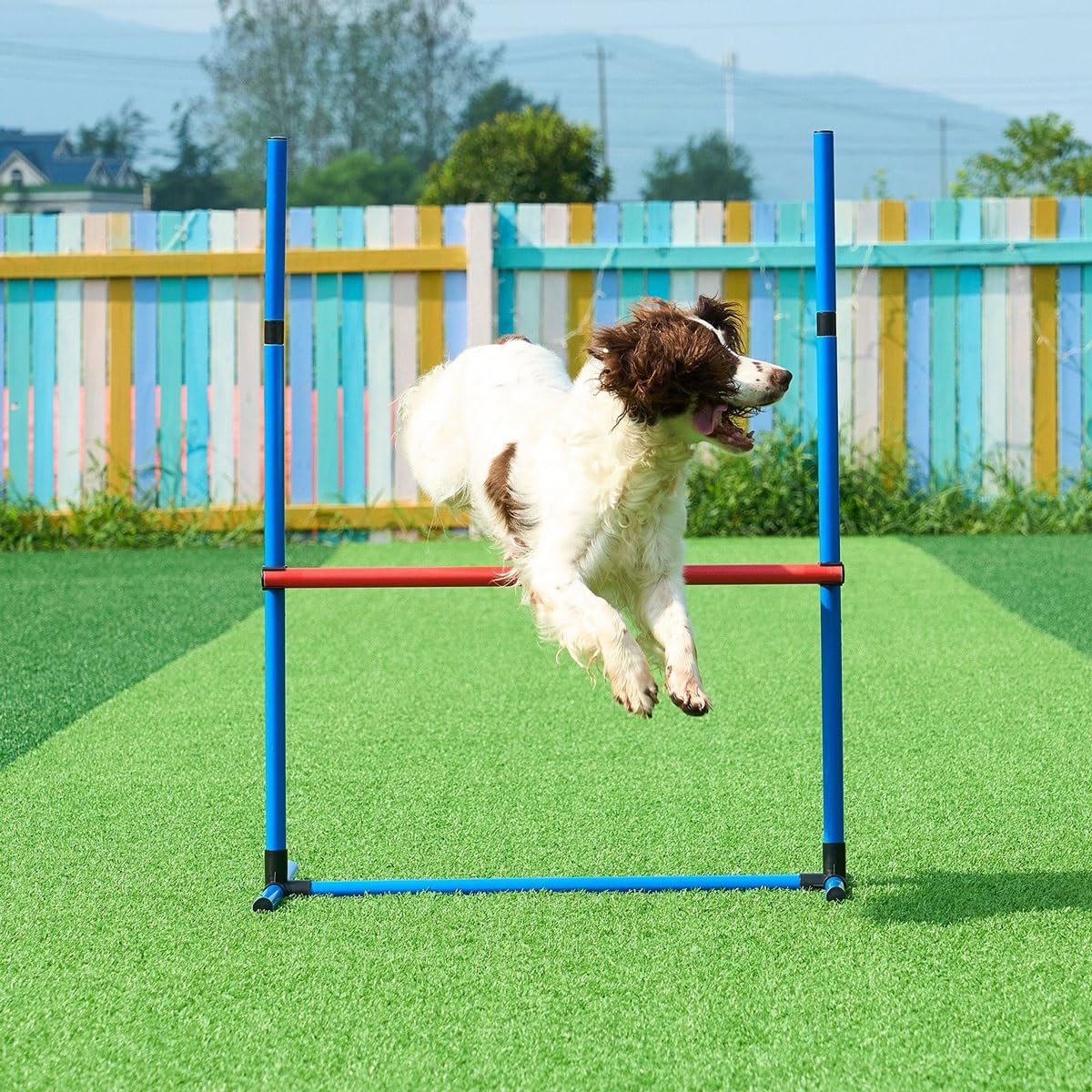Hunde-Agility-Trainingsgeräte-Set, Hunde-Agility-Hindernistrainingskurse-Kit mit Hundetunnel, Agility-Webstangen, verstellbare Hürden