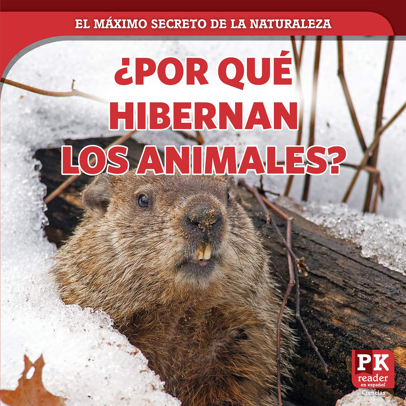 ¿Por Qué Hibernan Los Animales? (Why Animals Hibernate) (El Máximo Secreto de la Naturaleza (Top-Secret Nature))