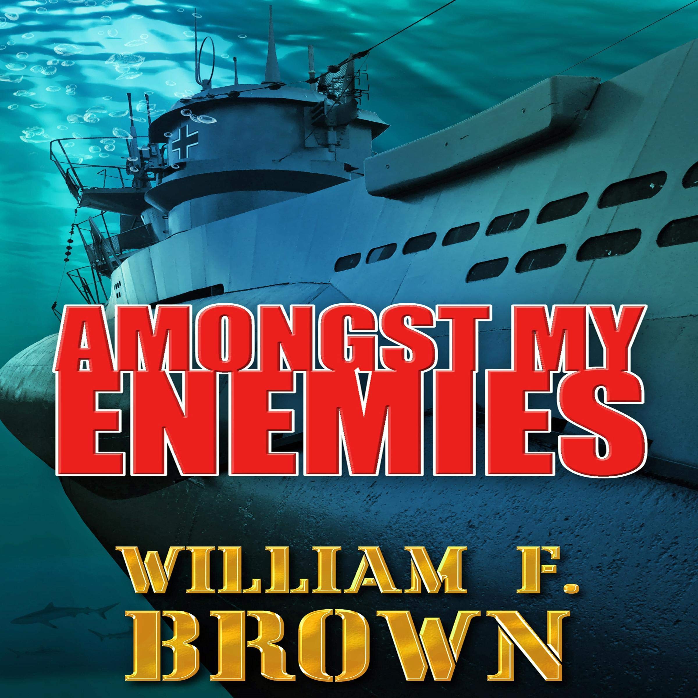 Cover art for Amongst My Enemies