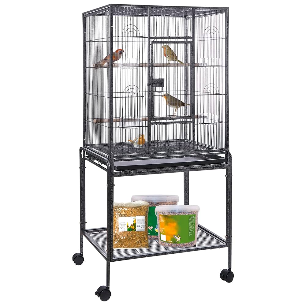 Amazon.com : HSM 53 Inch Wrought Iron Large Bird Flight Cage