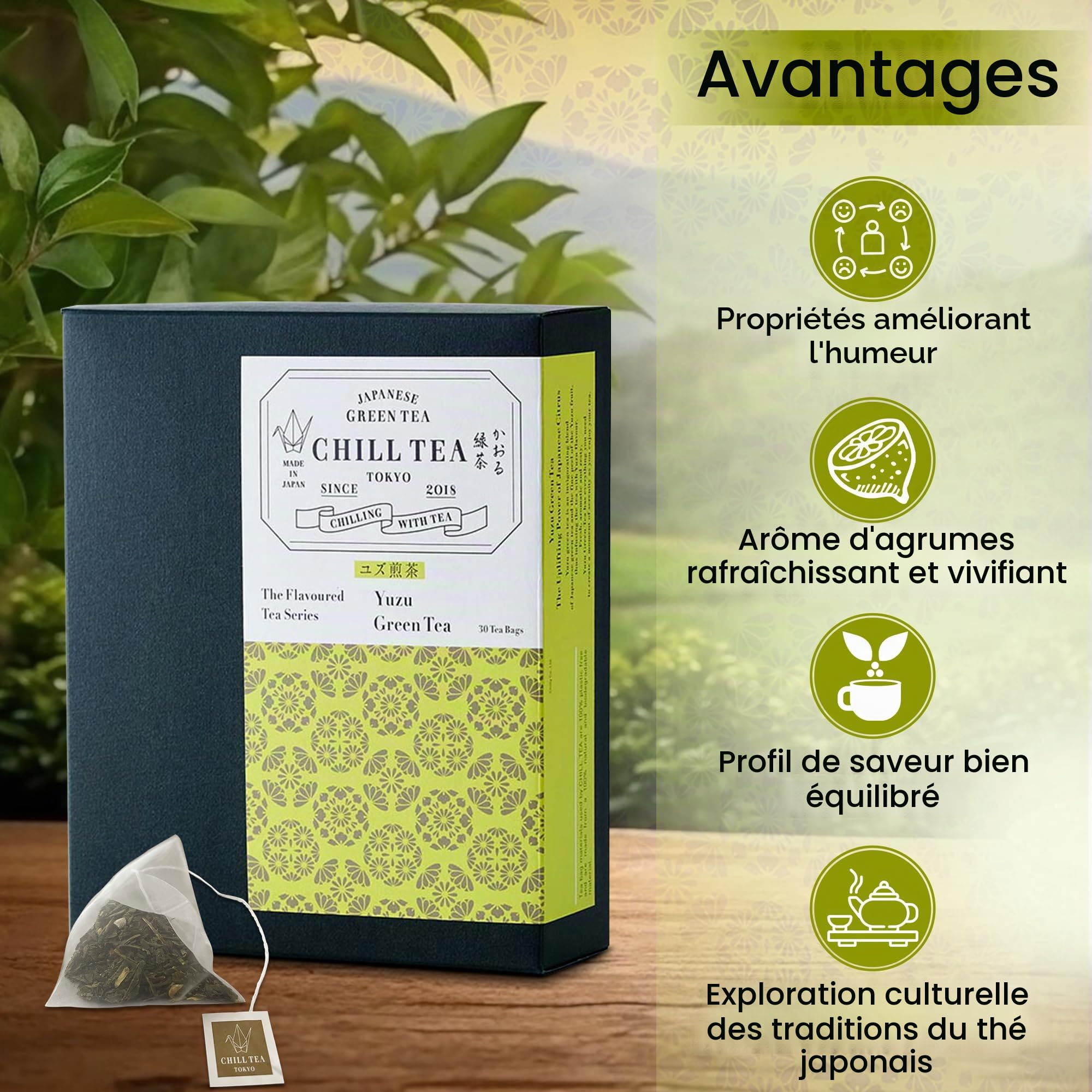 Thé vert au Yuzu de CHILL TEA Tokyo - Thé vert en feuilles 100% japonais aux agrumes japonais -100% sans plastique sachets - Saveur fruité et rafraichissante (30 sachets)