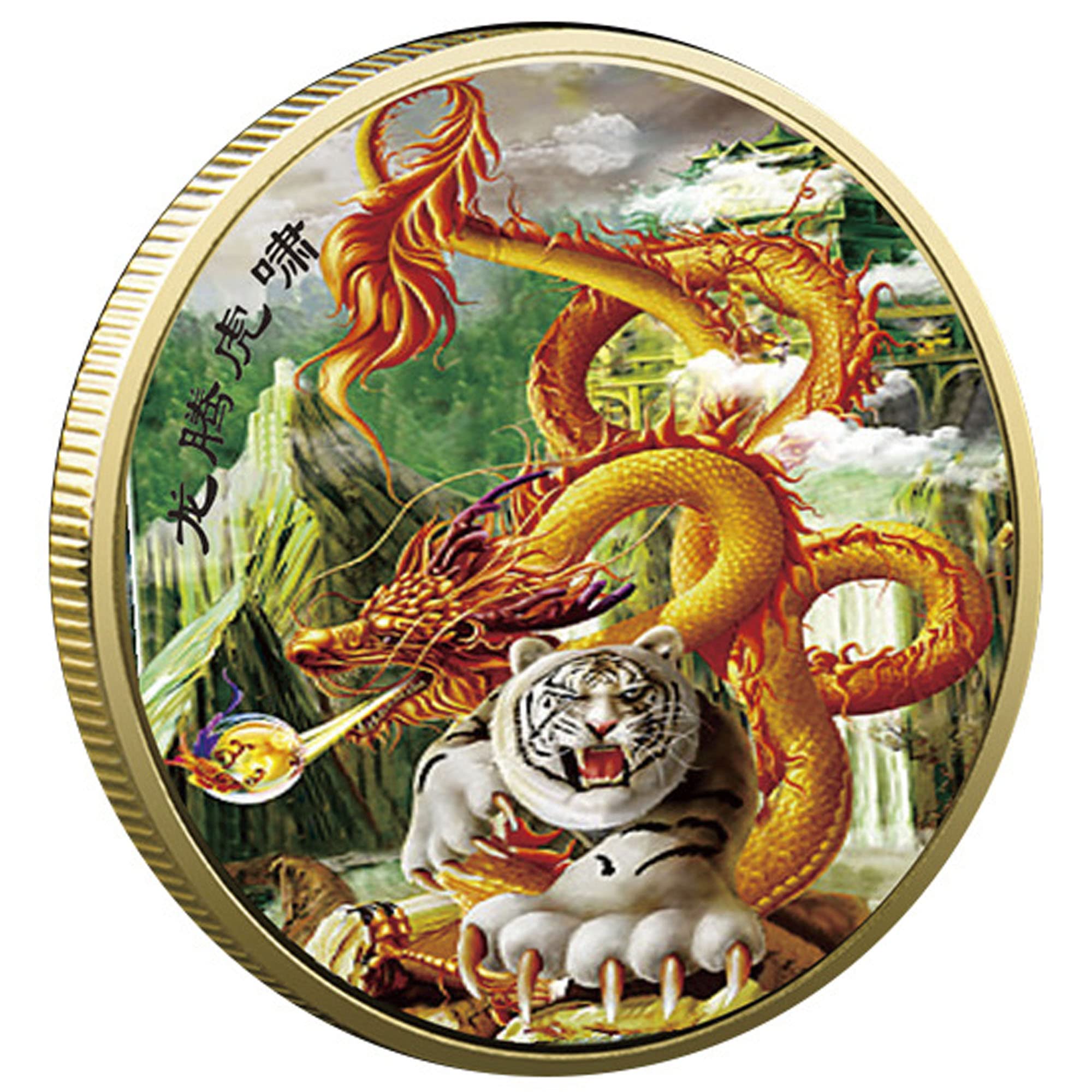 Amazon.com: Yakin shop Chinese Loong and Tiger Lucky Coin