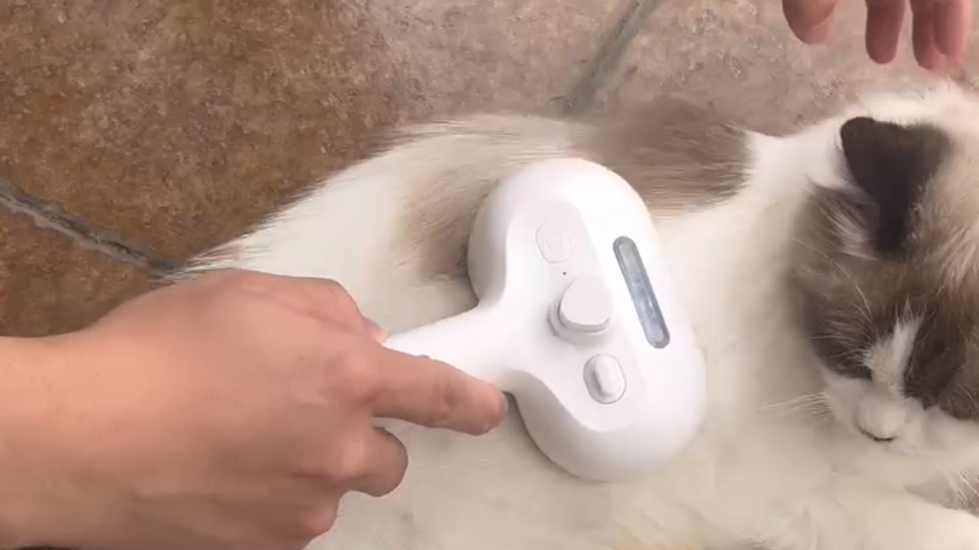 Amazon.co.jp: ZenCT ペット用ブラシ ワンプッシュ 猫 ブラシ 犬