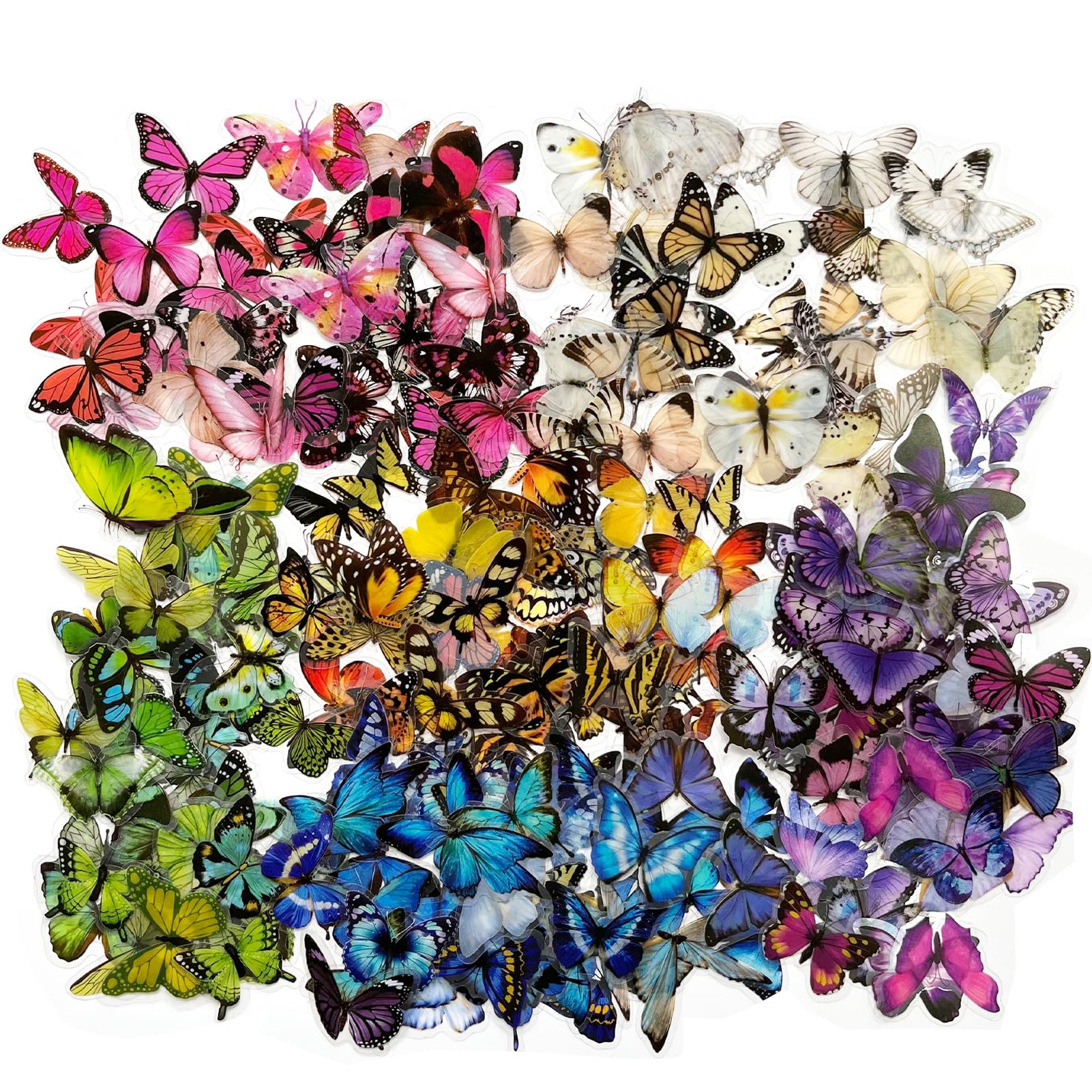 Photo 1 of 240pcs Colorful Butterfly Stickers Sets Resin Butterflies Sticker for Scrapbook Supplies Real-Like Natural Butterflies Decoration for Photos,Laptop,Notebook