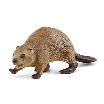 シュライヒ　ウツボ Amazon.co.jp: Schleich シュライヒ ワイルドライフ ウツボの