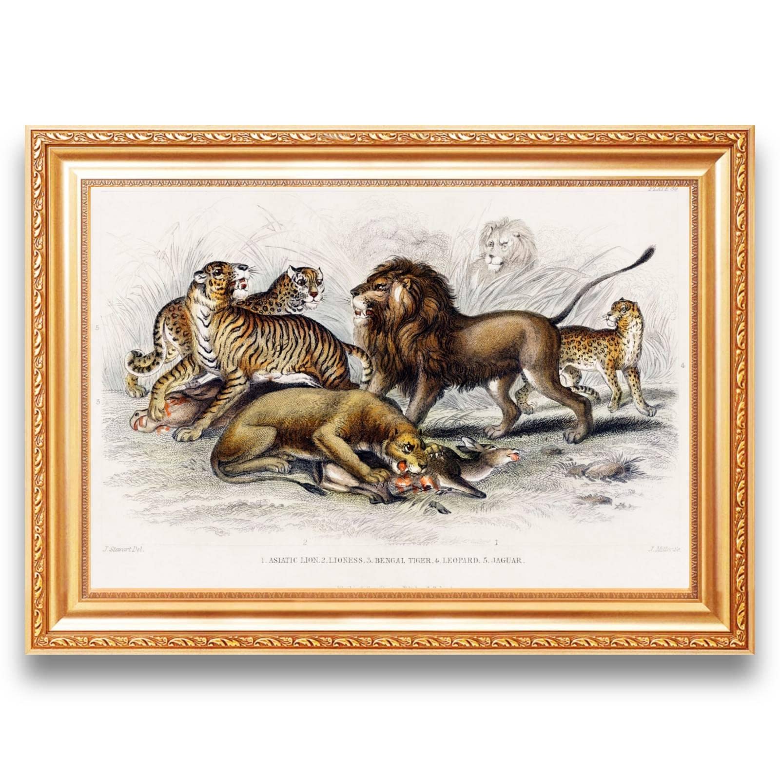 Amazon.co.jp: キャンバスに有名な油絵をプリント額入りアートウォール  