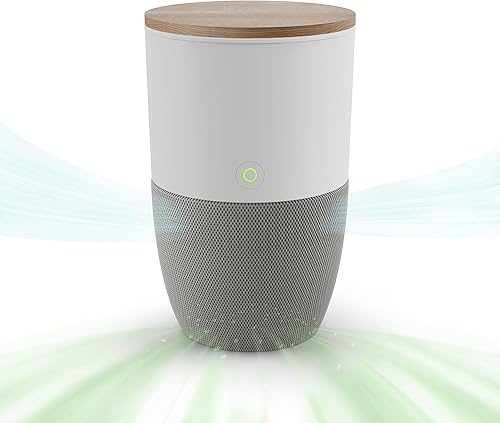 Miniatura 10 de Dupray Bloom Purificador de aire para habitaciones grandes con maceta o diseño de mesa decorativa personalizada  Para el hogar, dormitorio, oficina,