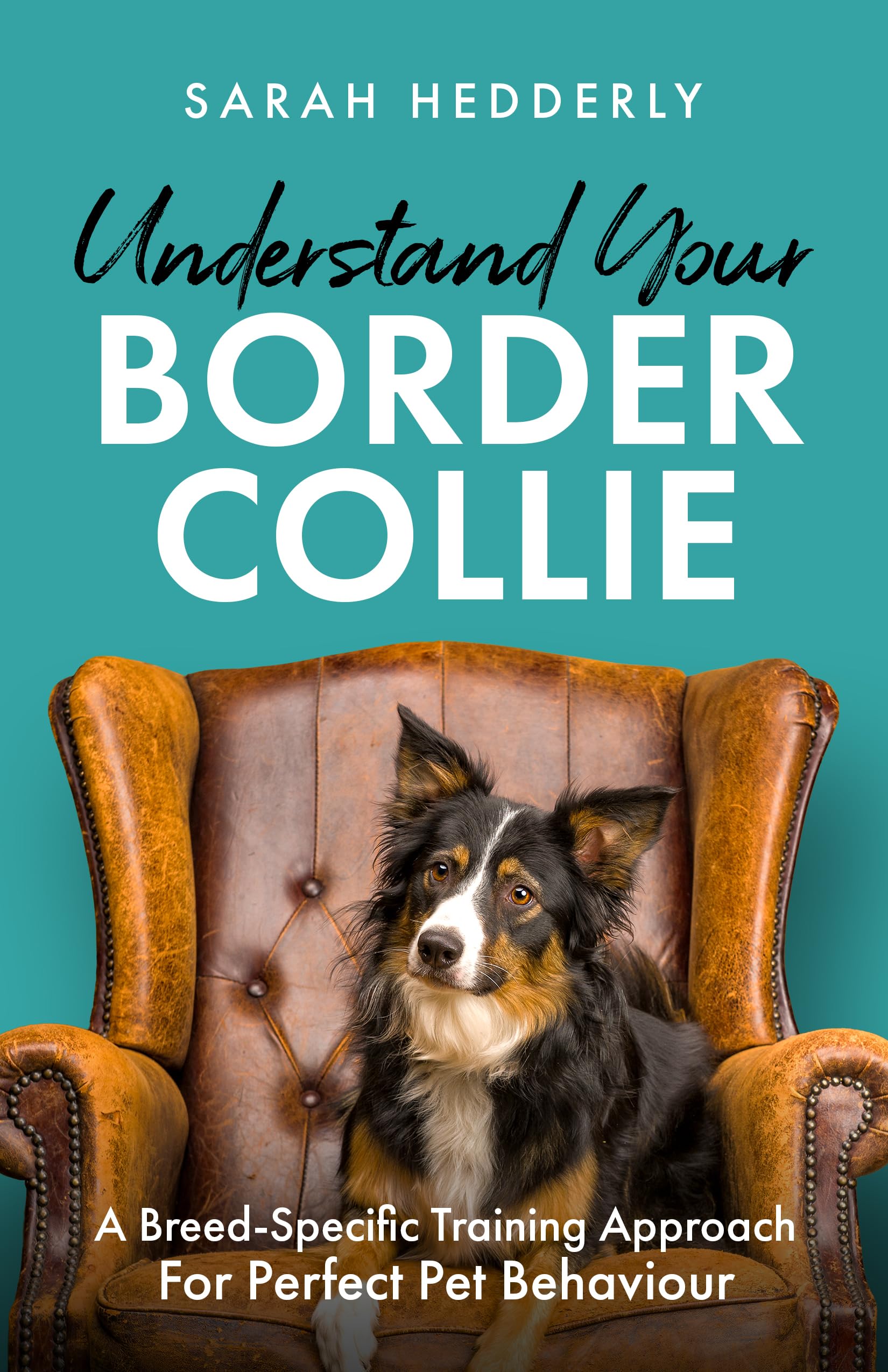 Understand Your Border Collie: A Breed-Specific Training Approach for Perfect Pet Behaviour