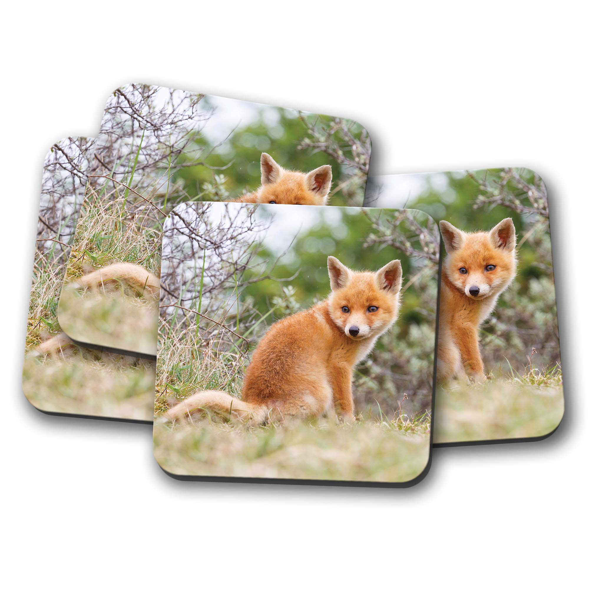 Destination Vinyl Ltd Multicolor 4 Set - Ginger Baby Fox Coaster - Cute Wildlife Animal Wild #15612