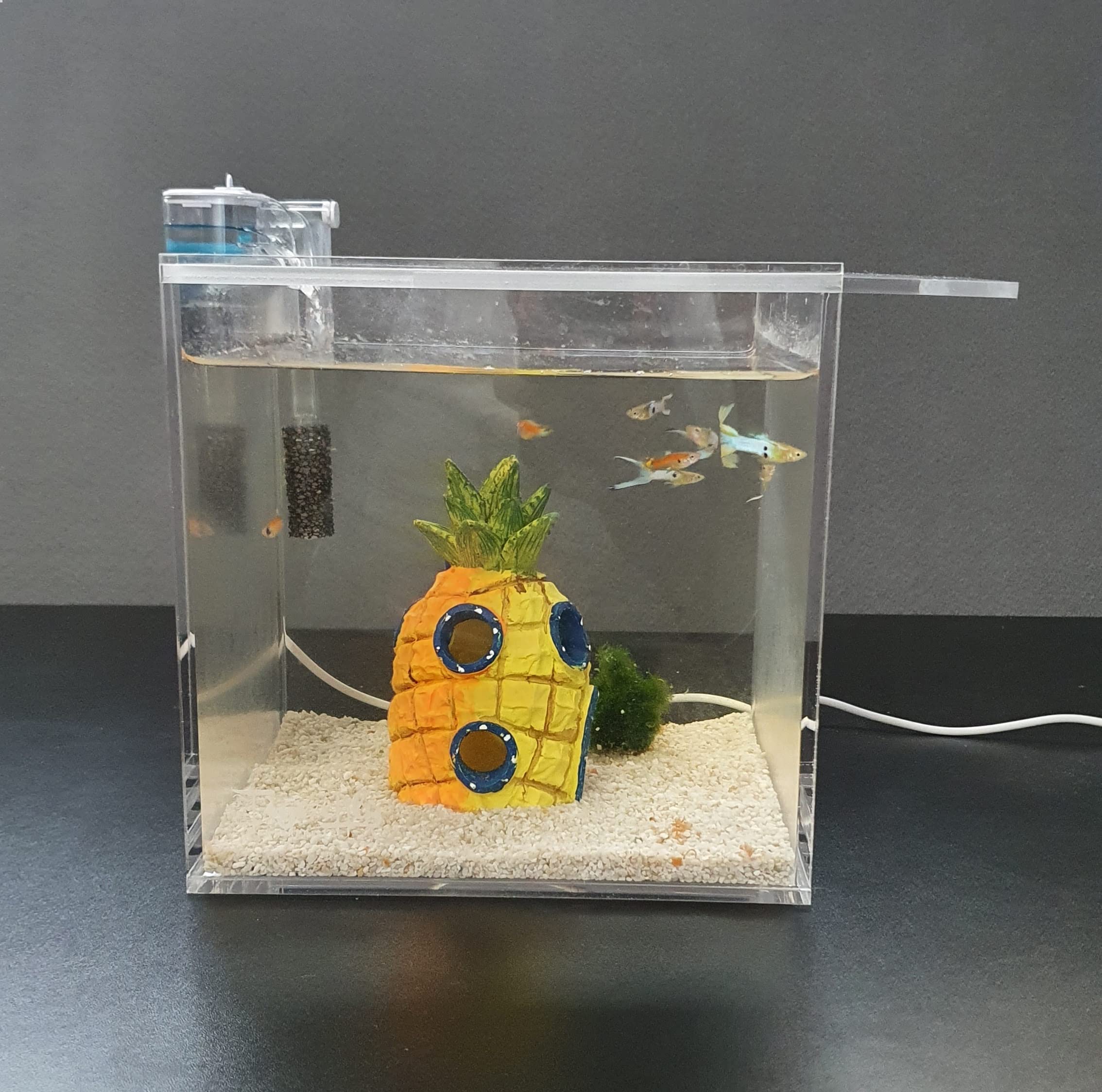 Piccolo Acquario Betta Acrilico Trasparente Antideflagrante Acquario Portatile In Miniatura Acquario Betta Acquario Supporto Per Telefono D'acqua Dolce Tropicale Cestino Per