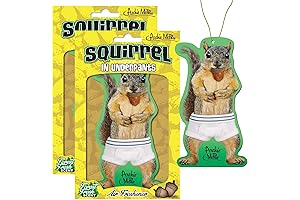 Accoutrements Nutty Squirrel in Underpants Car Air Fresheners (2-Pack), Air Freshener