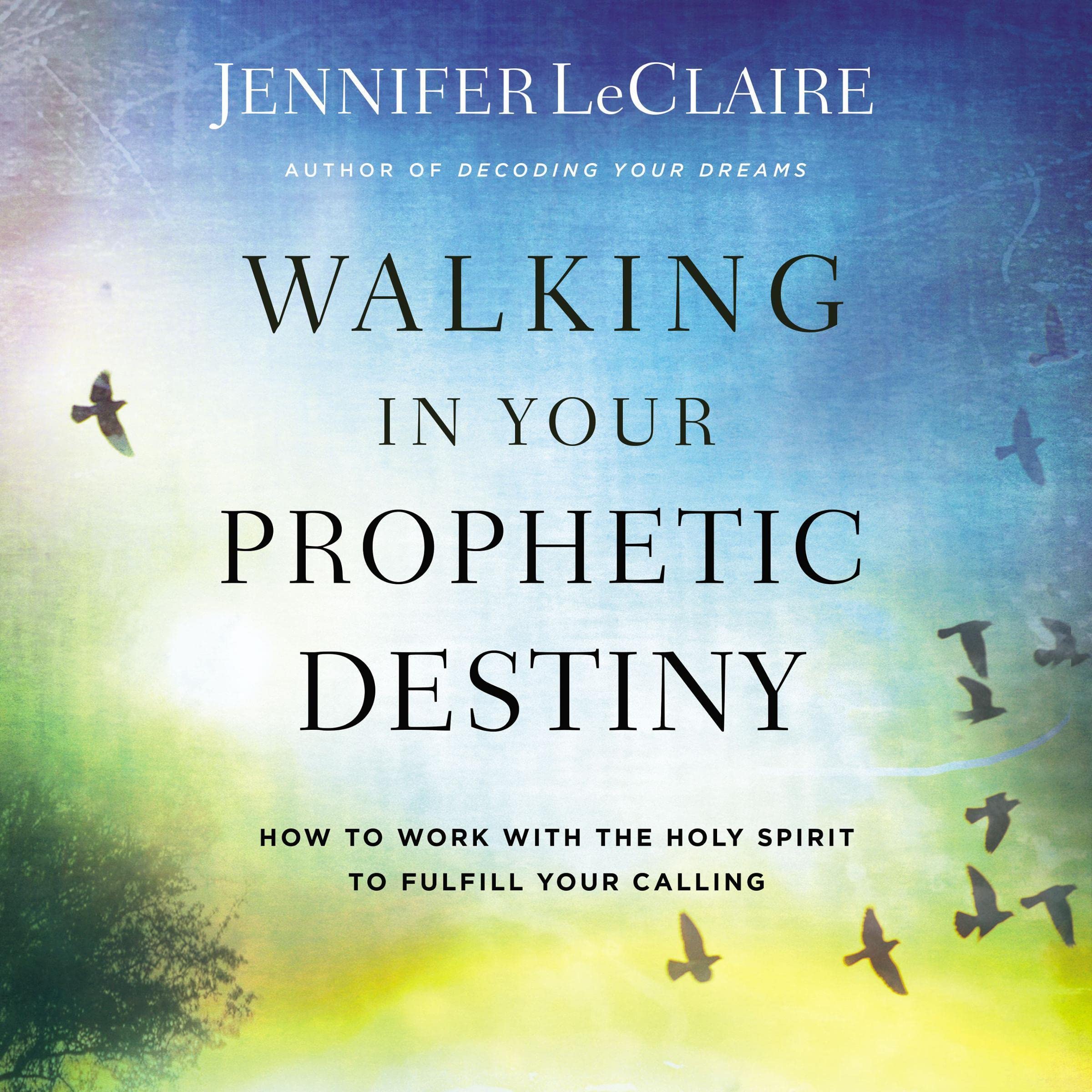 Cover art for Walking in Your Prophetic Destiny