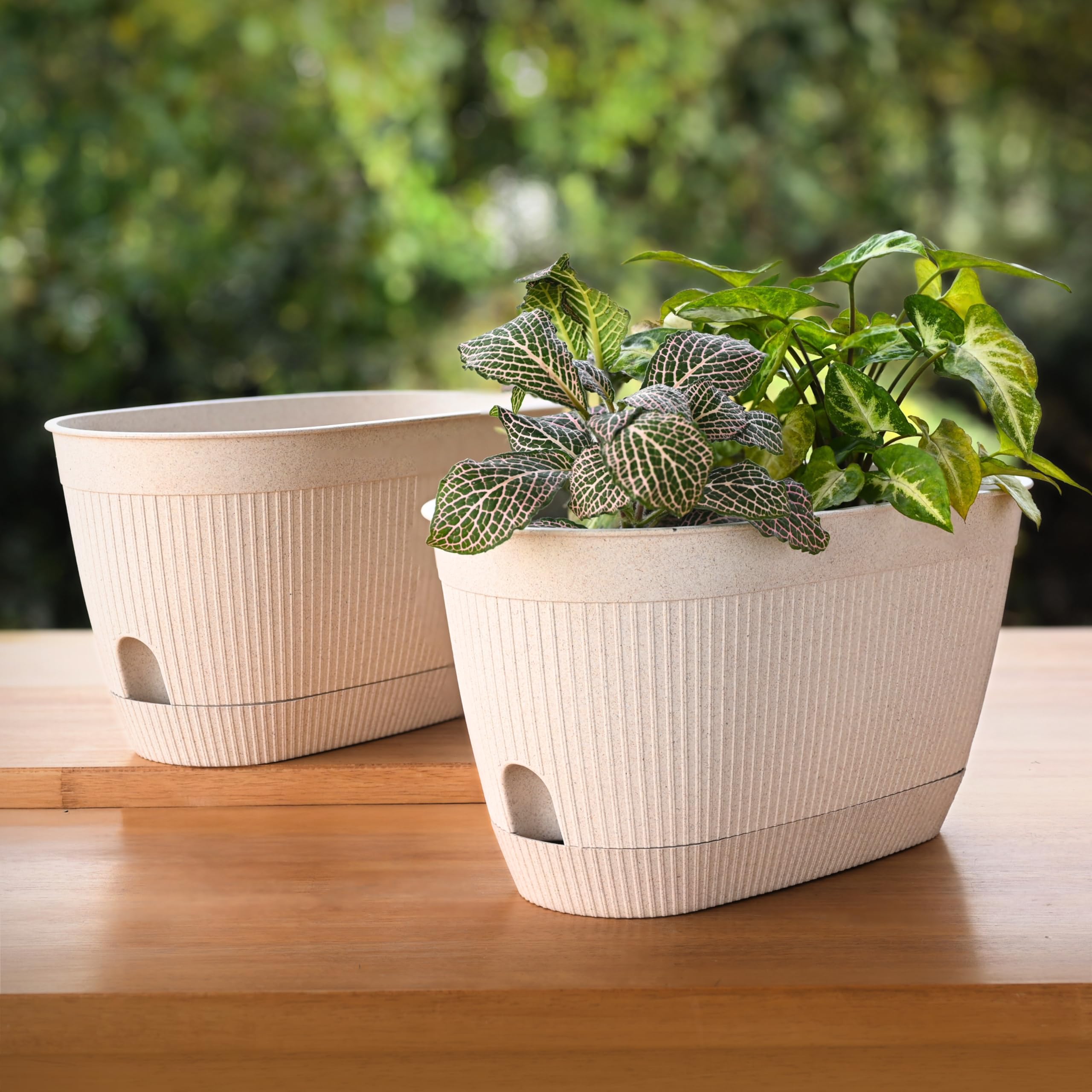 Eha Earth Friendly Eva 11.5 inch Self Watering Pots for Plants | Bamboo Based Plant Pots | Pack of 2 | UV Protected Planters for Home décor Indoor, Outdoor, Balcony & Garden Flower pots | Sand Castle-image-36