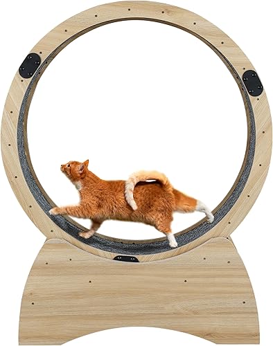 LMEREODY Rueda para gatos, caminadora para gatos, rueda de ejercicio, rueda de correr para gatos con pista alfombrada, rueda de ferrisa fácil de