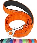 FunTags 6FT Black Reflective Dog Leash for Large & Medium Dogs Walking, Soft Padded Handle Comfortable Grip, Heavy Duty Nylon, Reflective for Night Walking, 1in Wide