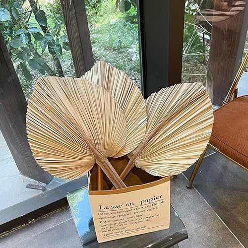 Total de 119 piezas10 decoraciones de hierba de las pampas secas, flor artificial champán, cola de conejo, flores secas de junco, hierba de pompass