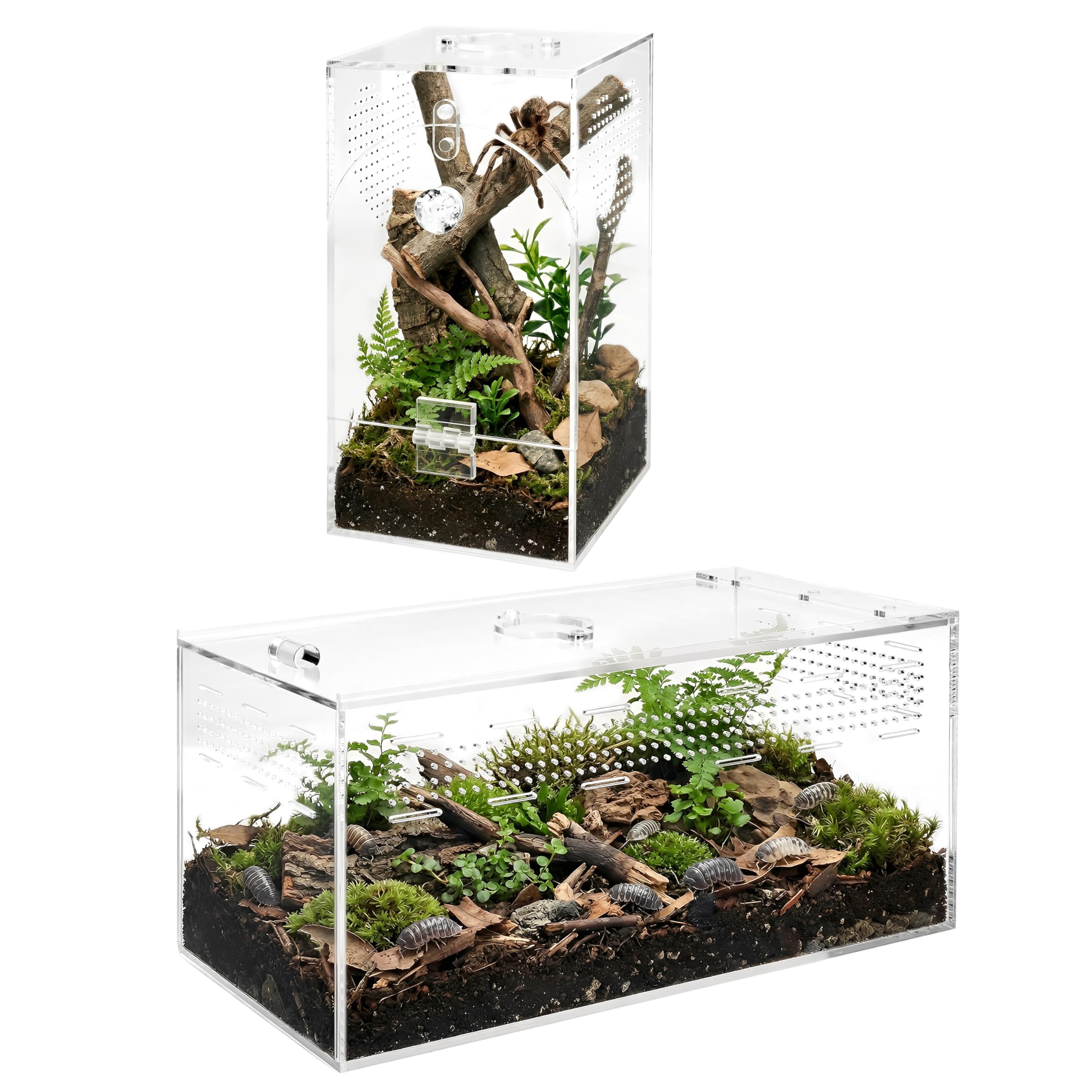 Terrarium mini boîte pour reptiles en acrylique transparent pour voyager serein