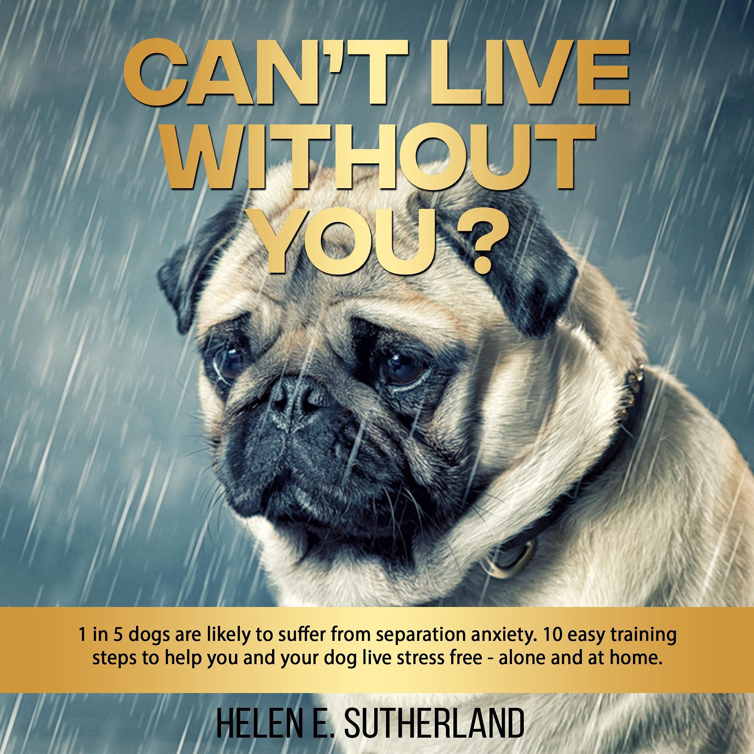 Cover art for Can't Live Without You?