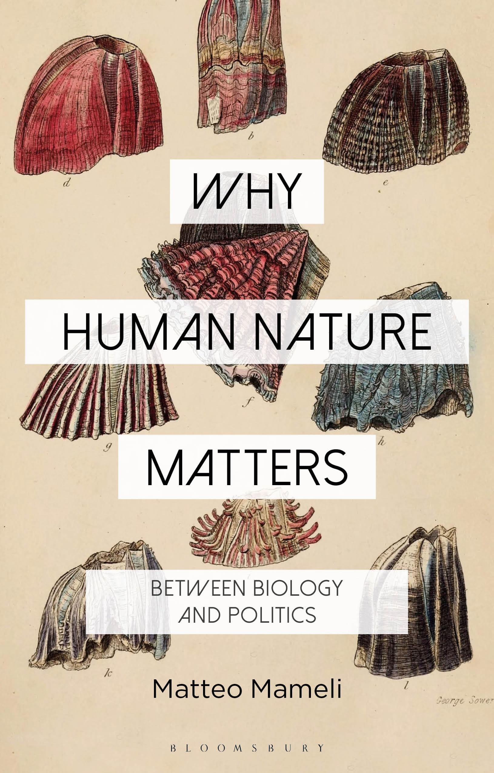 Why Human Nature Matters: Between Biology and Politics (Why Philosophy Matters)