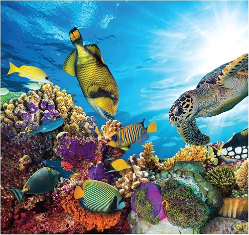 Cardboard People Coral Reef Backdrop Life Size Cardboard Cutout Standup
