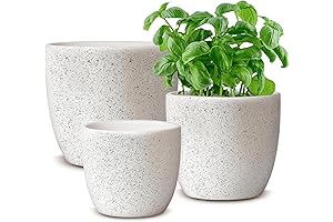 Decorative Ceramic Planters for Indoor Adornment