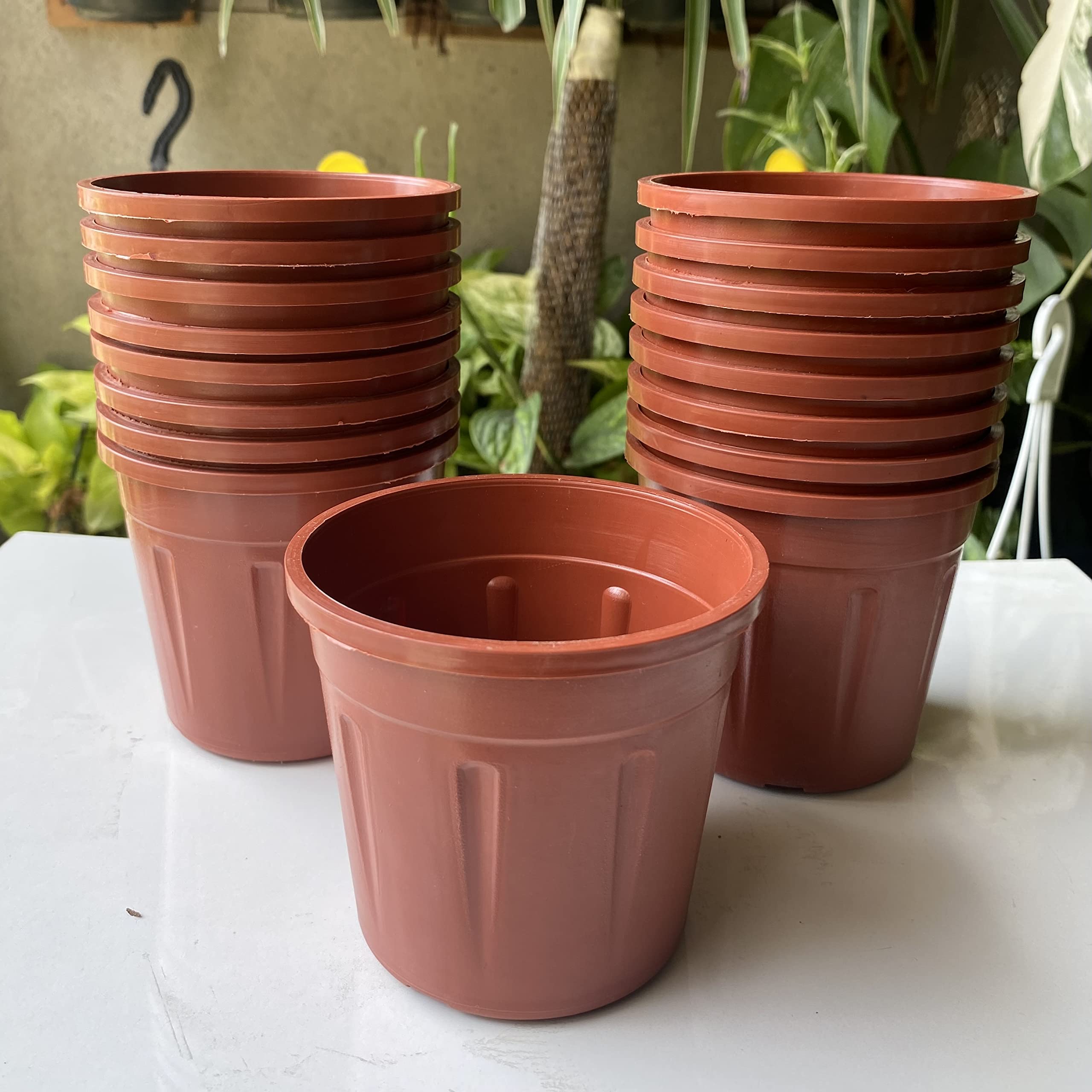 See full amazon price history chart for Hope Nursery 4 inch Terracota Color Plastic Nursery pots Set of 15 pots | Small Nursery Plastic pots | Terracota Color Plastic Nursery Flowering pots | Nursery pots for Small Plants and saplings Hope Nursery 4 inch Terracota Color Plastic Nursery pots Set of 15 pots | Small Nursery Plastic pots | Terracota Color Plastic Nursery Flowering pots | Nursery pots for Small Plants and saplings (B0C5F7GD2K) Amazon Price History, Amazon Price Tracker
