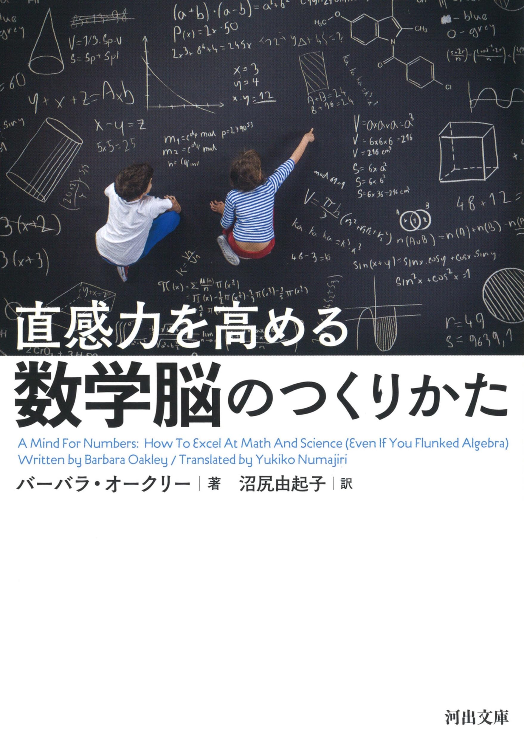 直感力を高める 数学脳のつくりかた (河出文庫 オ 6-1)