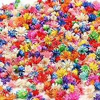 BZHYZKX 880pcs Tiny Dried Flowers for Resin Crafts with Tweezers - Natural Colorful Mini Pressed Flowers Bulk for DIY Jewelry, Art, Candles, Soap