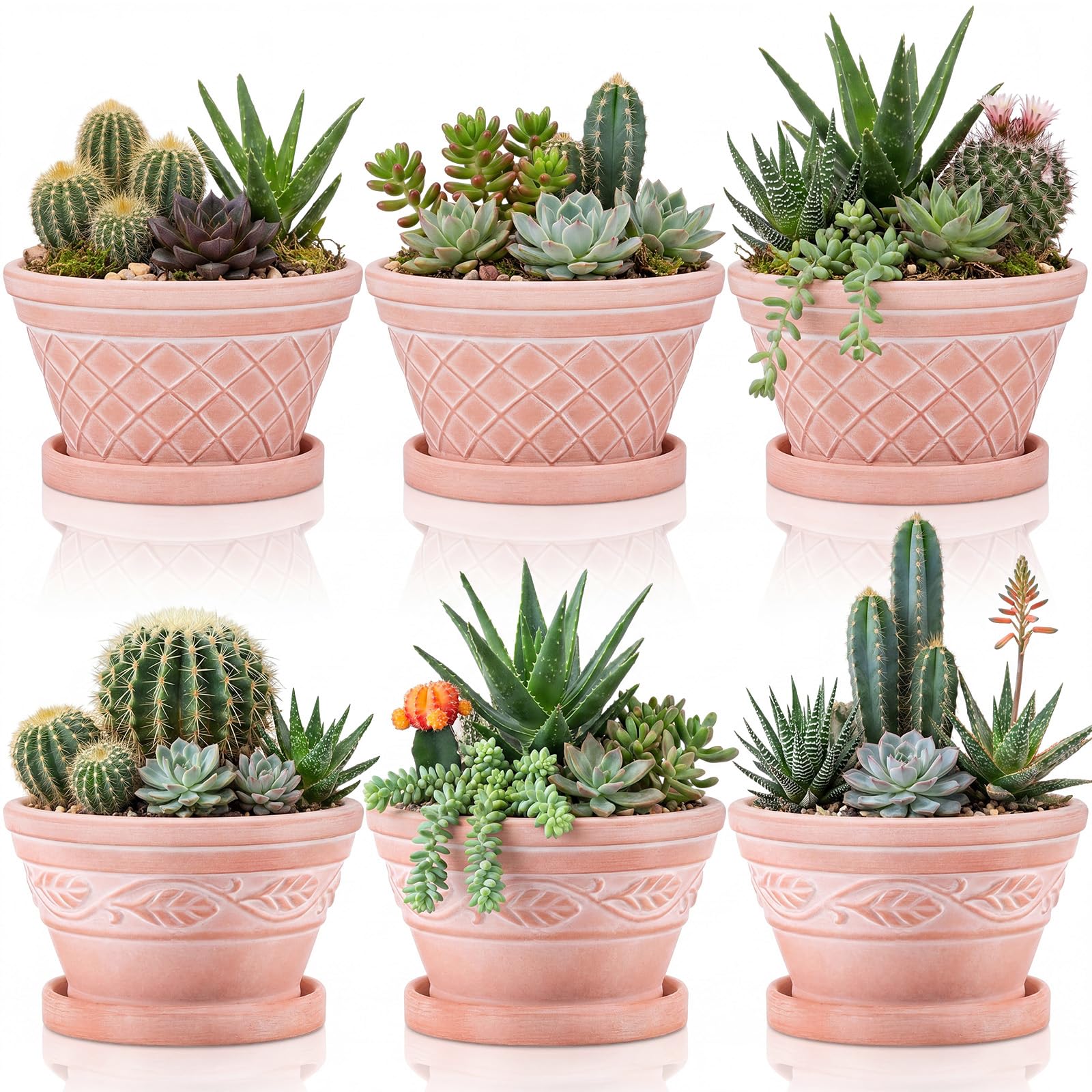 Photo 1 of *Partial Set* Maxdot Set of 6 Embossed Succulent Pots 6" Terracotta Planters