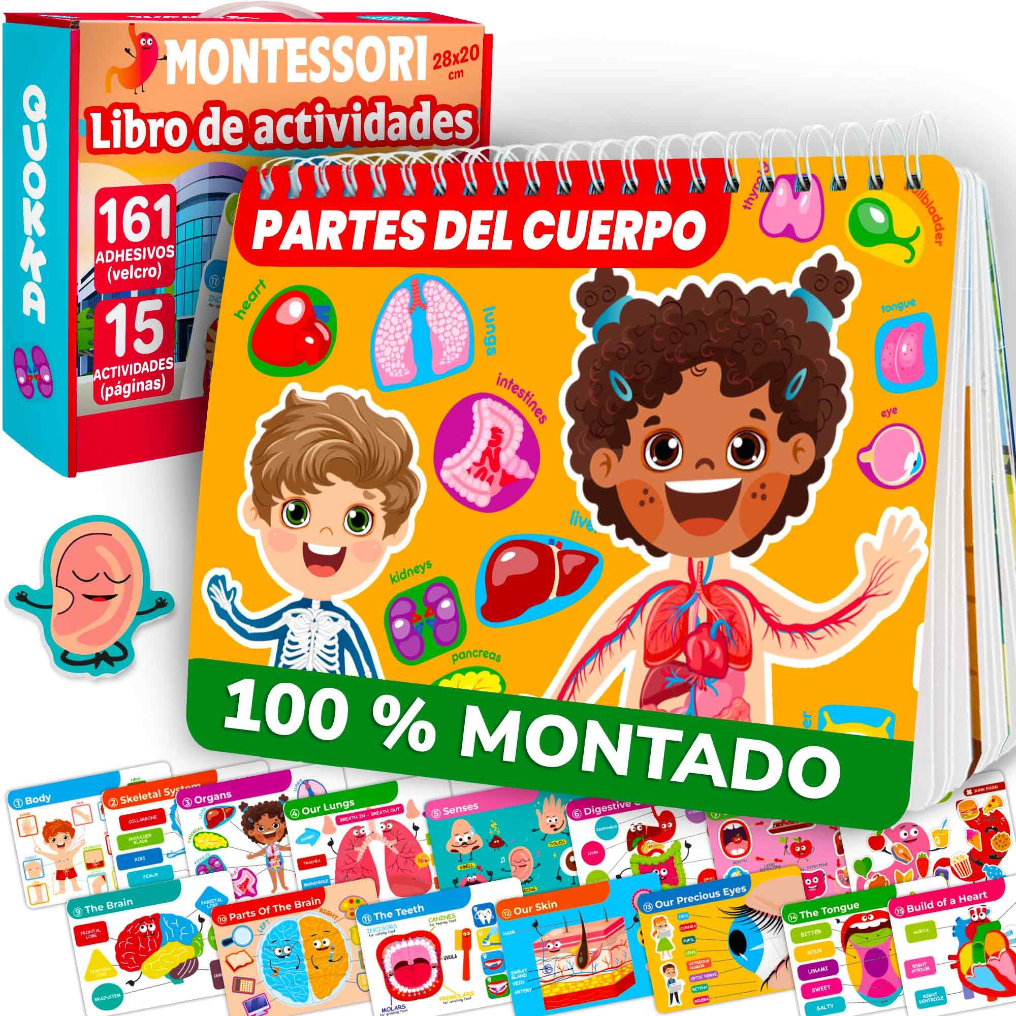 QUOKKA Busy Board Montessori 1 2 Año - Versión Inglés - Libro Sensorial Bebe con 15 Temas sobre el Cuerpo Humano - Busy Book Juegos Montessori 3 4 Años - Regalo Educativo para Niños y Niñas