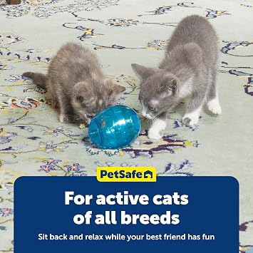 PetSafe Egg-Cersizer Interactive Cat Slow Feeder Toy