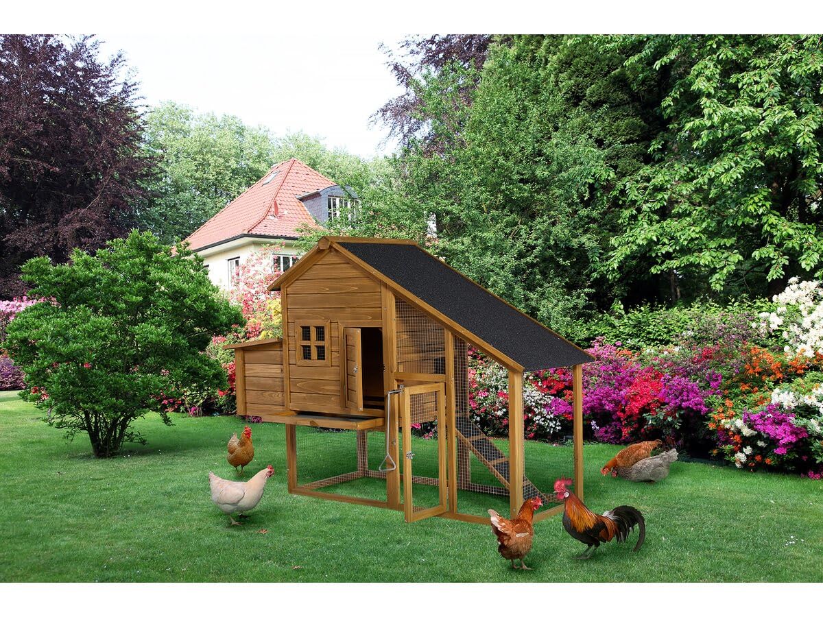Poulailler Princesse avec pondoir en Bois - 4 Poules - Marron