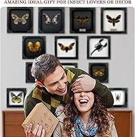 Vista 6 de Real Framed Flower Mantis Dead Insect Dried Green Beetle Shadow Box Black Frame Taxidermy Bug Specimen Display Oddity Tabletop Standable Wall