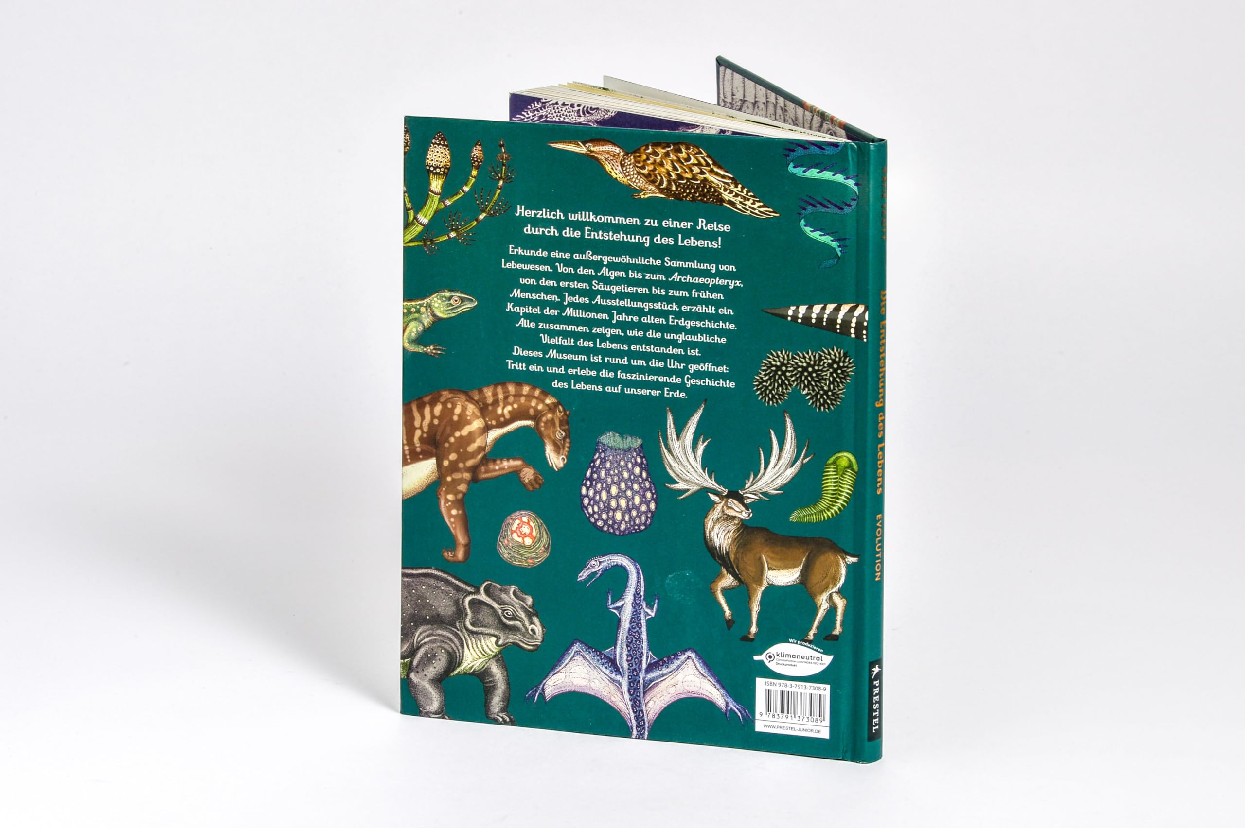 Die Entstehung des Lebens. Evolution: Eintritt frei! - Sachbilderbuch im Geschenkbuch-Format für Kinder ab 8 Jahren mit Illustrationen von Katie Scott (Eintritt frei! Komm mit ins Museum, Band 11)