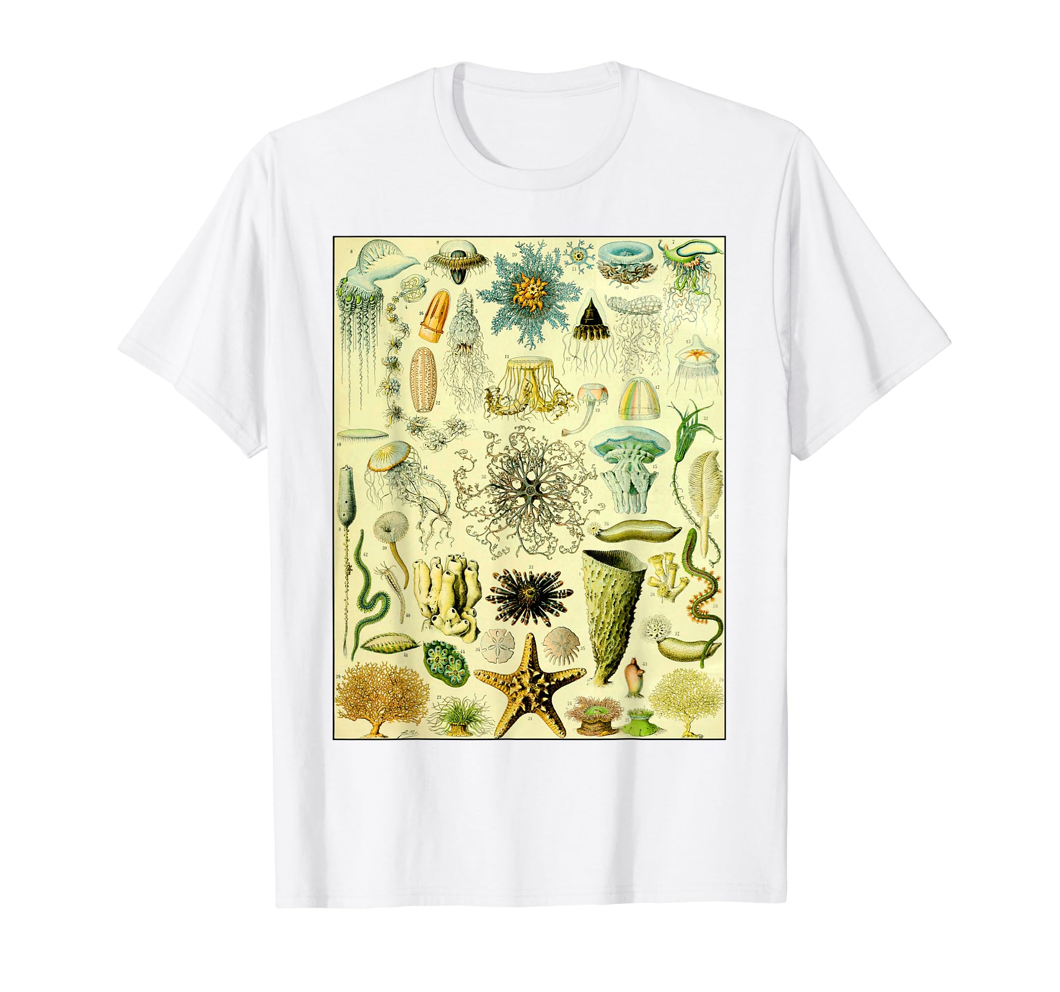 Sea Creatures Animal Life ReefsOceanography and Marine Biology Chart Sea Species Vintage T-Shirt
