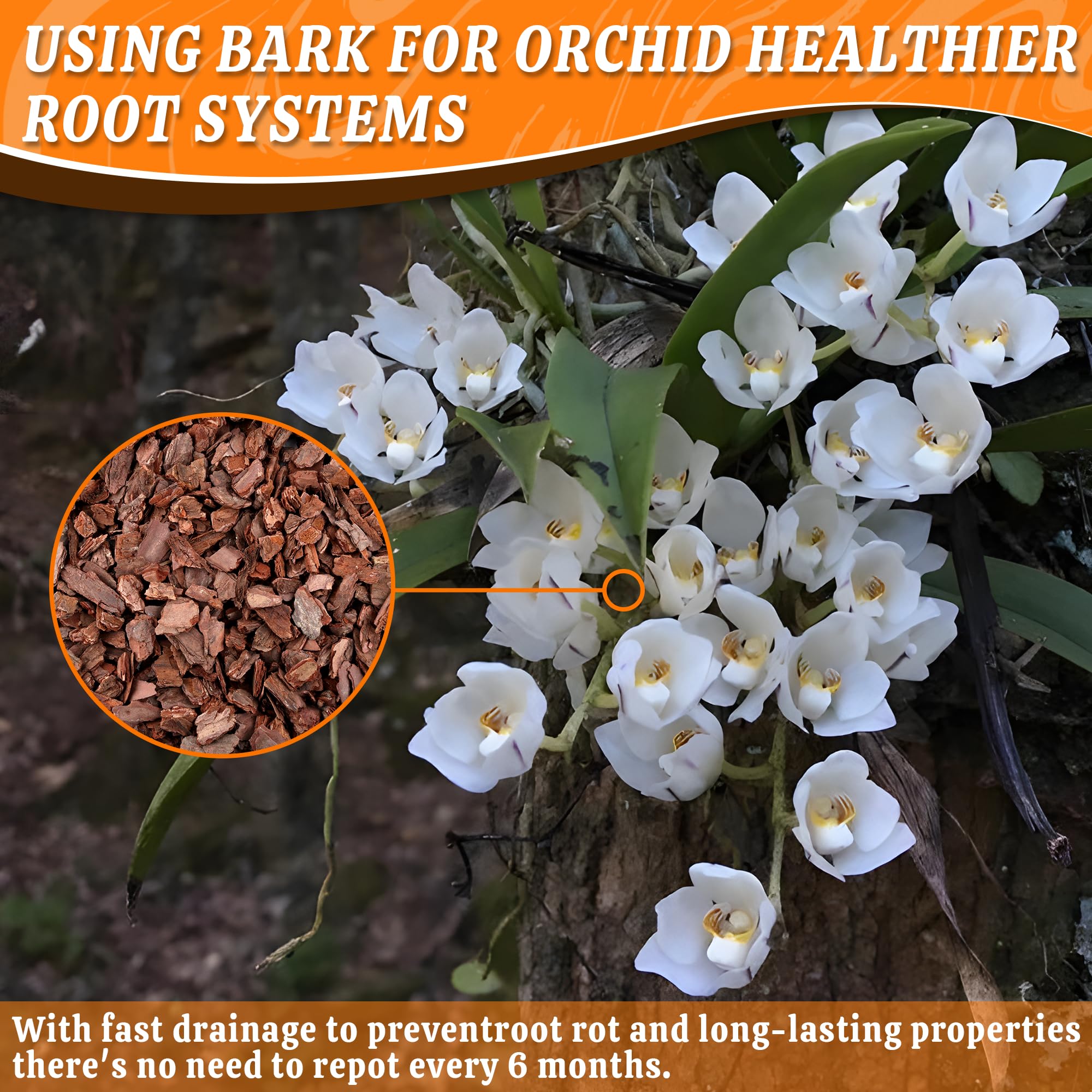 AVALUTION Organiczna kora orchidei do roślin 3 l, zrębki z naturalnej kory sosny do ściółki roślin domowych, do rozwoju korzeni orchidei, ściółki