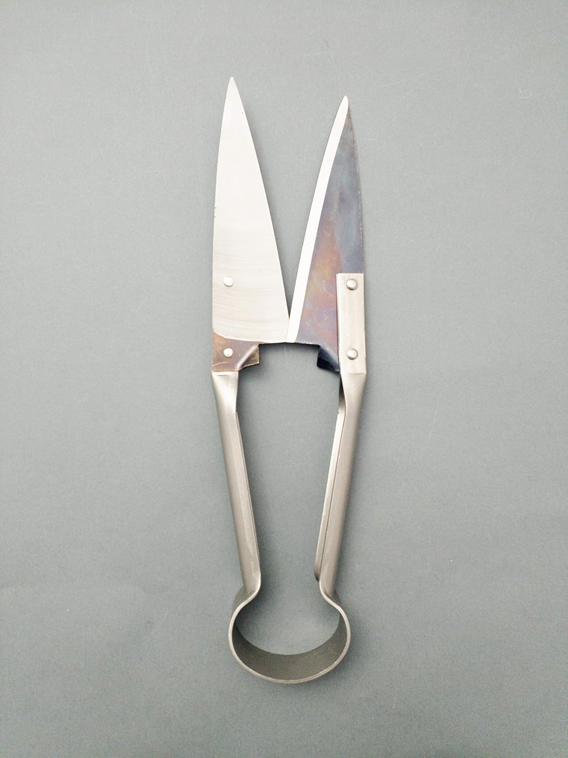 DUE BUOI Single Bow Straight Sheep Shears DB 160/32-5.50" Blade Length - 12.60" Total Length