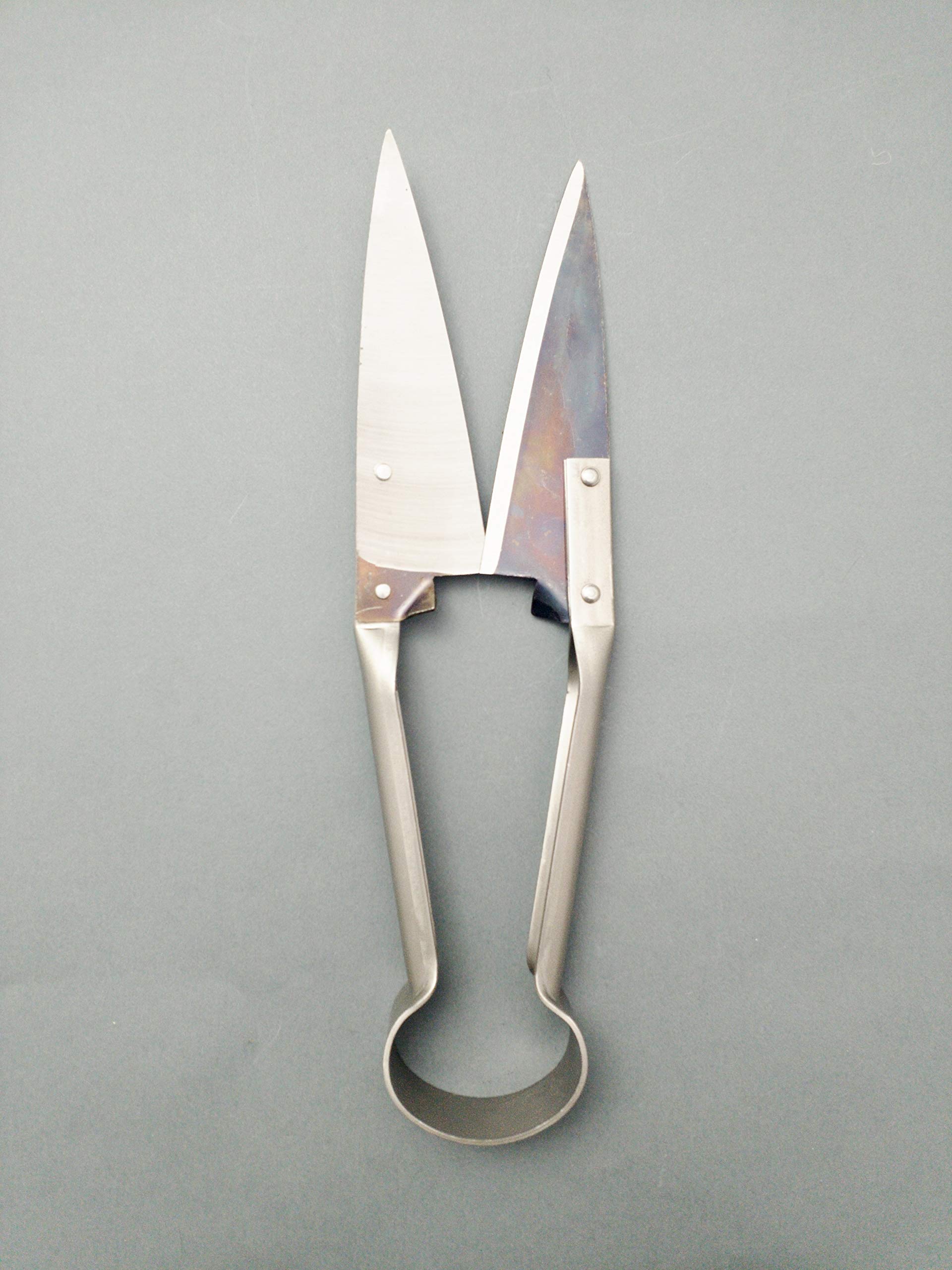 Image secondaire de DUE BUOI Cisaille à mouton droite à nœud simple DB 160/32 - Longueur totale de la lame : 14 cm