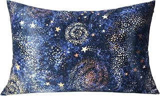 MANSPHIL Navy Blue Galaxy Mulberry Silk Pillowcase Queen Size, Print Pattern, 22 Momme 100% Silk Pillow Cases Cover Zipper Closure, 20" x 30"