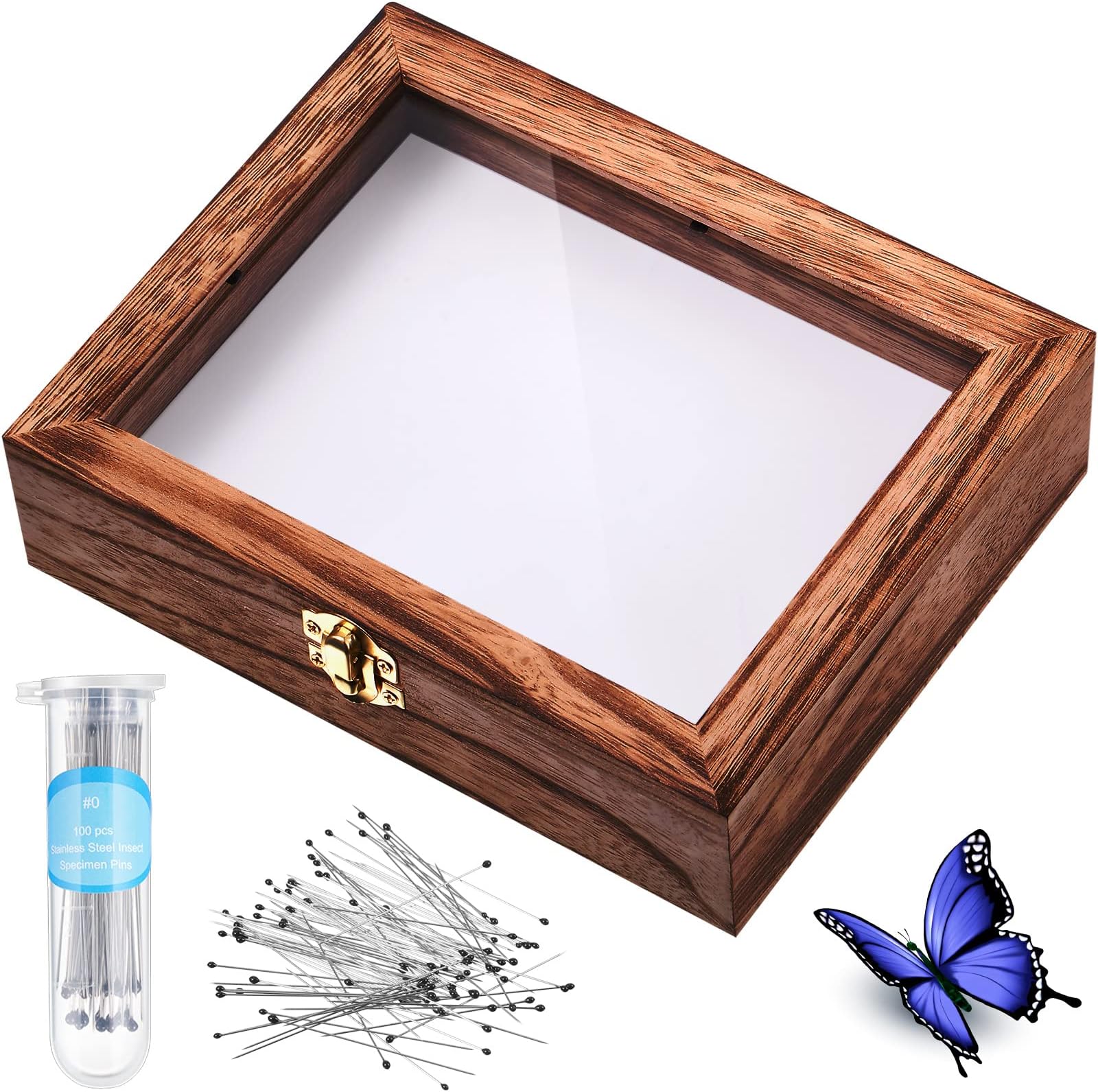 Insect Display Case Box Collection Box with Clear Top, EVA Foam Pinning Board and 100 Pieces Pins Insect Shadow Box Kit Entomology Supplies for Collecting Butterfly Specimen (Brown)