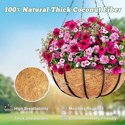 Miniatura 3 de Y&M Juego de 2 cestas colgantes de fibra de coco preformadas de 10 pulgadas, forro de repuesto de coco, 2P